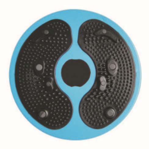 MT04B WAIST TWISTING DISC.png